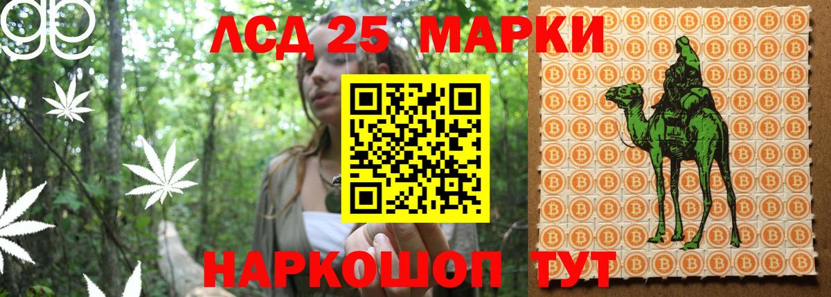 Кулебаки  Наркотические марки 1,8мг  Вход с VPN  Наркотические марки 1,8мг 