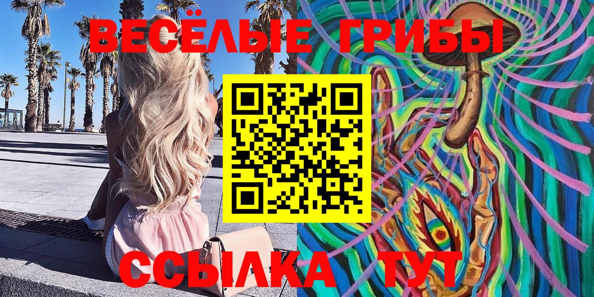 Галлюциногенные грибы Psilocybine cubensis  Вход с VPN  купить   Кулебаки 